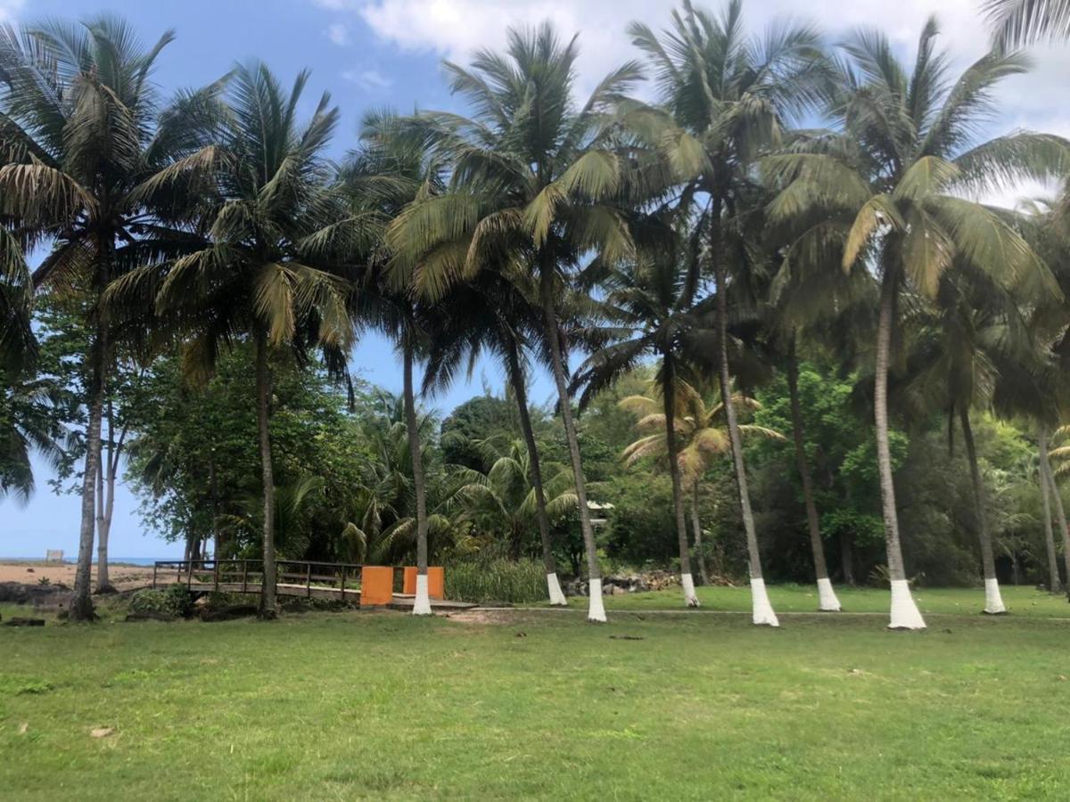 Au Sable D'Or - Spa - Wifi- Piscine เดเอ ภายนอก รูปภาพ