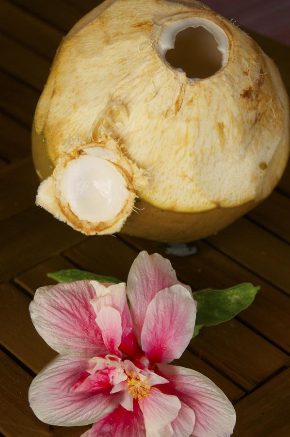 Au Sable D'Or - Spa - Wifi- Piscine เดเอ ภายนอก รูปภาพ